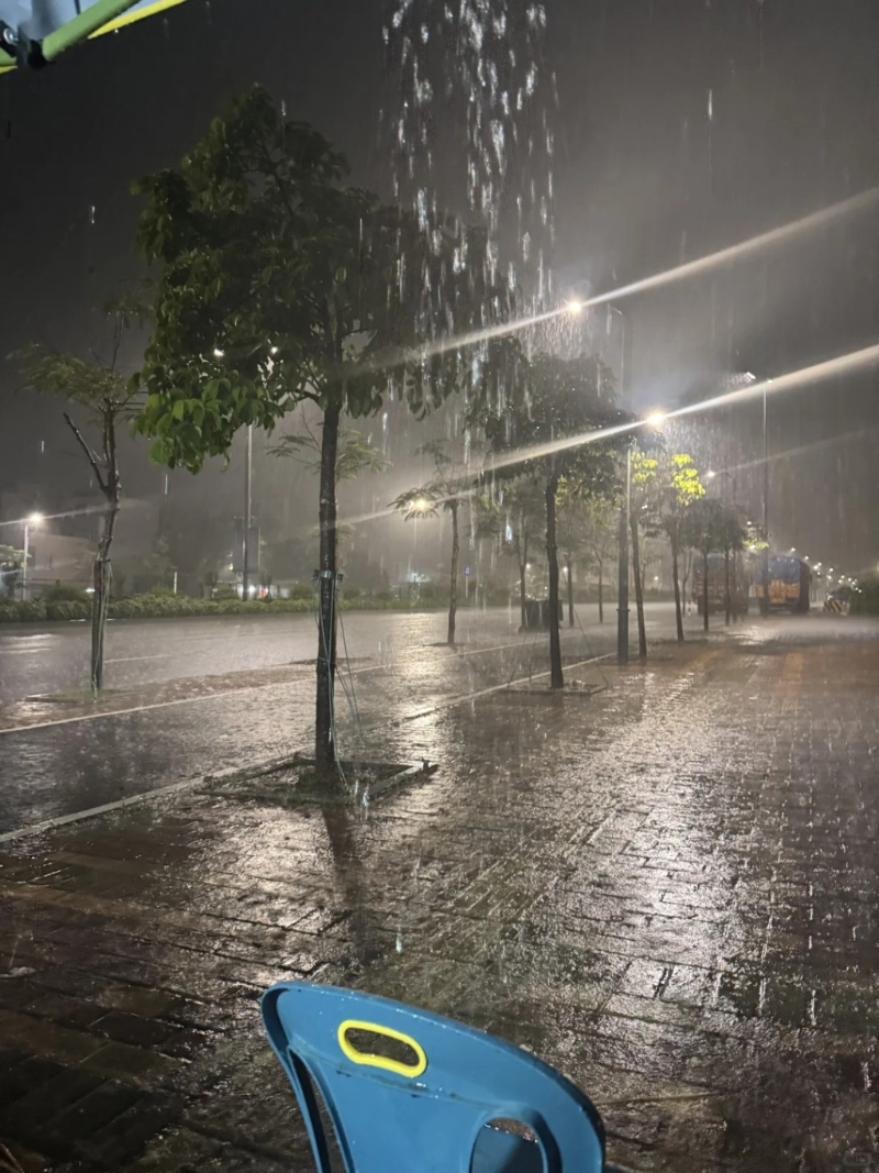 广东阳江